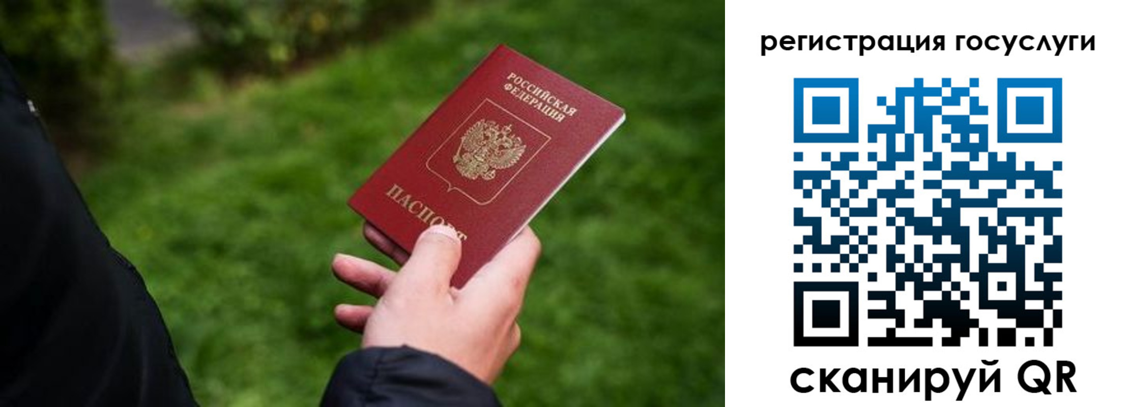 прописка в Топках
